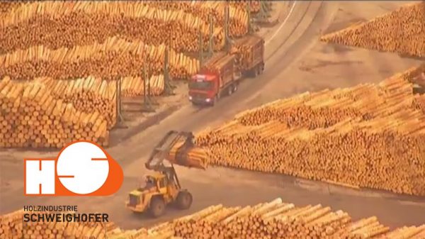 Lemn-tăiat-ilegal-Holzindustrie-Schweighofer